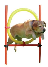 AGILITY Kruh