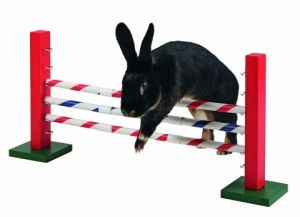 Agility pro králíky Jednoduchá překážka