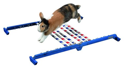 Agility pro králíky Kombinovaná překážka