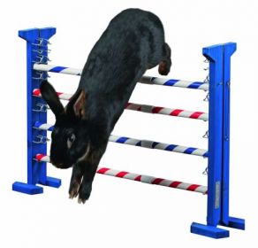 Agility pro králíky Kombinovaná překážka