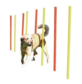 AGILITY Slalom