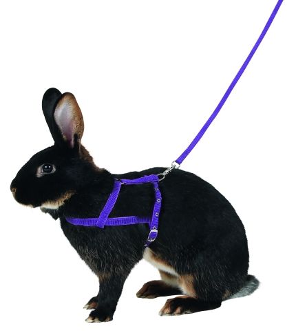 Postroj pro králičí agility, králičí hop M
