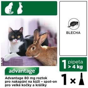 Advantage spot-on kočka, králík nad 4kg 0,8ml