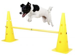 Agility základní výcviková sada, žlutá, 3 překážky