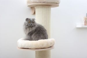 Škrabadlo kočka Dolomit Tower, prům.38cm výška 187cm, béžové