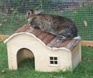 Dřevěný domek Nature se zaoblenou střechou,velký