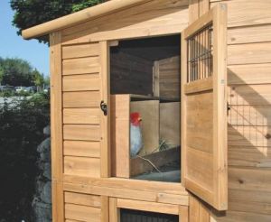 Kurník - Velký dřevěný domek pro slepice a domácí ptactvo