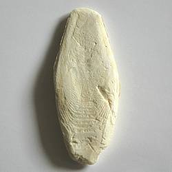 Apetit - sépiová kost pravá - volně ložená - 7,5-15cm - 1kg